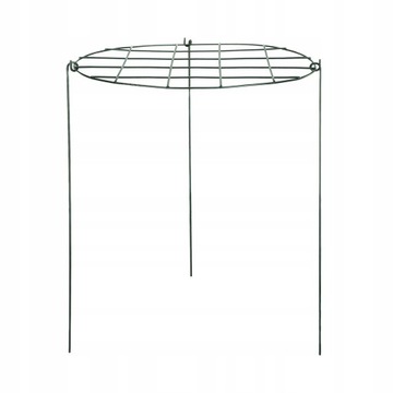 PODPÓRKA KWIATÓW ROŚLIN