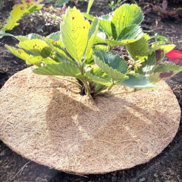 КОКОСОВЫЙ МАТЕРИАЛ ПРОТИВ СОРНЯКОВ, ОБОКРУЖЕНИЕ МОЛСТЫХ РАСТЕНИЙ. 5ММ, ДИАМ. 60 СМ