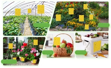 ДОСКИ ДЛЯ НАКЛЕЙКИ, ЖЕЛТАЯ БУМАГА ДЛЯ ВИШНЕВЫ, ЛОВУШКИ ДЛЯ НАСЕКОМЫХ, 74 шт.