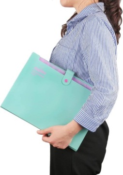 Папка для документов складная с 13 отделениями Biwuar