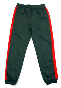 Спортивные штаны Looney Tunes брюки сумасшедшие мелодии 8 лет печати