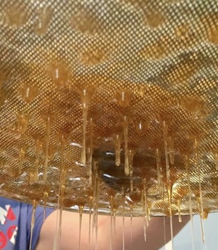 Sito do miodu podwójne metalowe płaskie Nierdzewne podwójne wypukłe