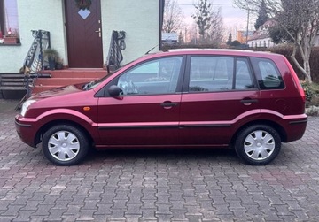 Ford Fusion 1.4 Duratec 80KM 2003 Ford Fusion 1,4 80KM KLIMA Webasto Super Stan Bezwypadkowy Serwis Oplacony, zdjęcie 2