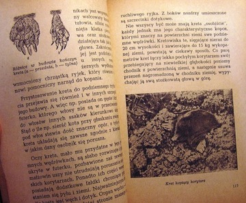 Знакомство с нашими животными, Збигнев Волинский [1954].