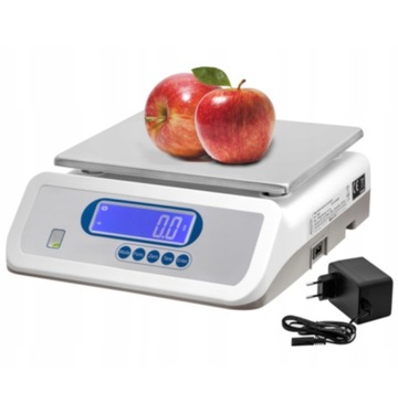 WAGA PRECYZYJNA ELEKTRONICZNA LABORATORYJNA 1g LICZĄCA 30kg LCD 22 x 27cm