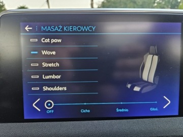 Peugeot 3008 II Crossover 1.5 BlueHDI 130KM 2018 Peugeot 3008 GT-LINE, Panorama, Radar, Bliss,, zdjęcie 29