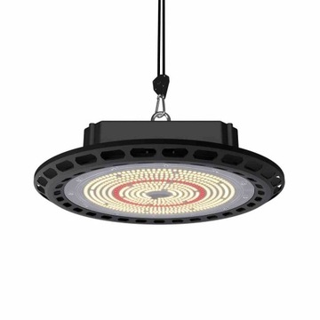 LED UFOECO TRPS 300W DUAL