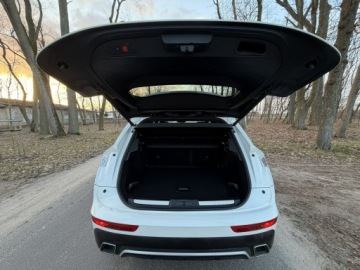 DS 7 2018 DS Automobiles DS 7 Crossback Crossback 2.0BlueHDI, zdjęcie 23