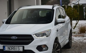 Ford Kuga II SUV Facelifting 2.0 TDCi 180KM 2019 Ford Kuga Ford Kuga 2.0 TDCi 4x4 ST-Line 2.0 Diesel 180KM, zdjęcie 15