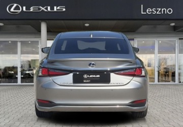 Lexus ES VII (XV70) Sedan Facelifting 300h 218KM 2022 Lexus ES 300h Business Edition ASO Lexus Leszno 2.5 Hybryda 218KM, zdjęcie 7