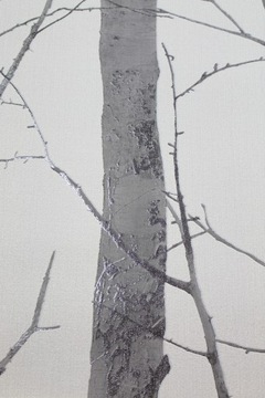 ОБОИ БЕРЕЗА ОБОИ ЛЕС ВИНИЛ erismann