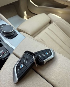 BMW Seria 5 G30-G31 2019 BMW Seria 5 BMW Seria 5 530e Luxury Line sport, zdjęcie 35