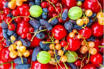 SYLLIT 65WP 45г ГРИБКОВАЯ ПЯШКА КУРЬЕВАЯ ПЯТНОСТНОСТЬ ЛИСТА