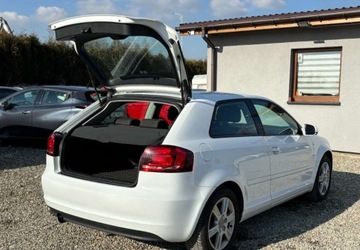 Audi A3 8P Hatchback 3d 1.6 102KM 2010 Audi a3 Instalacja gazowa 1.6 BenzynaLPG 102KM, zdjęcie 17