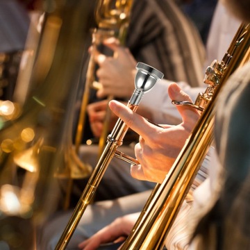 USTNIK DO PUZONU POSREBRZANY, PRZYSTĘPNY CENOWO, STUDENCKI ALT