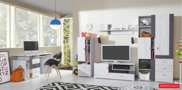 ZESTAW MEBLI MŁODZIEŻOWYCH NEXT System (D) Meblar