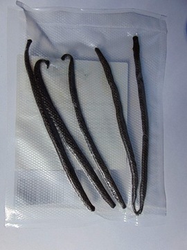 LASKA WANILII PREMIUM 20 SZTUK WANILIA LASKA 15-20 CM SWIEŻE LASKI WANILII