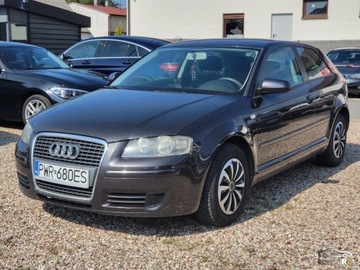 Audi A3 8P Hatchback 3d 1.9 TDI 105KM 2006 Audi a3 1.9TDI 105KM 2006r 351TysKm 1.9 Diesel 105KM, zdjęcie 1