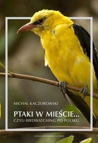 PTAKI W MIEŚCIE CZYLI BIRDWATCHING KACZOROWSKI
