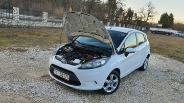 Ford Fiesta VII Hatchback 5d 1.25 Duratec 60KM 2010 Ford Fiesta 1.25 60KM # Klima # Serwisowany #, zdjęcie 29
