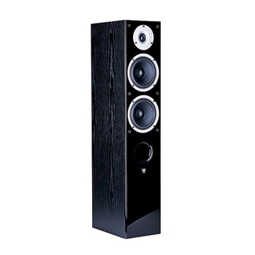Wilson Raptor 5 - kolumny podłogowe Black