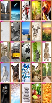 Самоклеящаяся наклейка на дверь, черное дерево.