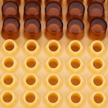 SYSTEM ZESTAW DO WYCHOWU MATEK PSZCZELICH