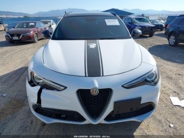 Alfa Romeo Stelvio SUV 2.0 Turbo 280KM 2019 Alfa Romeo Stelvio 2019 ALFA ROMEO STELVIO TI SPORT AWD 2.0 Benzyna 280KM, zdjęcie 7
