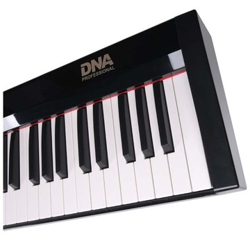 DNA SP 88 pianino cyfrowe klawisze Bluetooth MIDI statyw pokrowiec zestaw