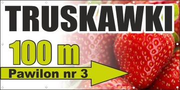 БАННЕР 200х100см Баннер 1х2 м итальянские баннеры с мороженым