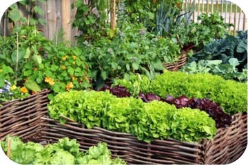 10л Экагро Биогумус - Натуральное удобрение от дождевых червей для цветов