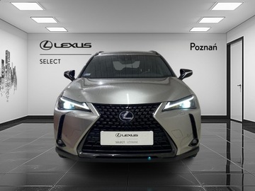 Lexus UX 2022 Lexus UX 250h GPF F Impression 2WD, zdjęcie 7