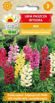 Lwia Paszcza Wysoka Mix Nasiona 0,5g