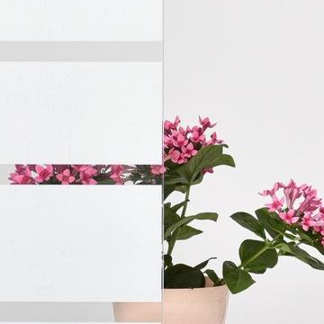 Статическая оконная пленка 67х200см SP601