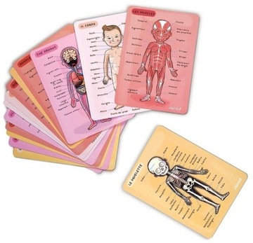 Магнитный пазл ЧЕЛОВЕЧЕСКОЕ ТЕЛО JANOD 7+ PL