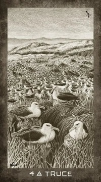 ЭЛЕМЕНТЫ НОВОЙ ЭРЫ ТАРО - карты Таро