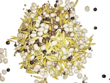 Mieszanka na poplon, pod okopowe - 10 kg
