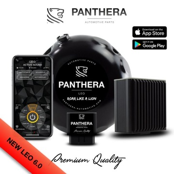 Aktywny wydech Panthera LEO 6.0 (Boxer | R4 | R6| V6 | V8 | V12 | E-Sound)