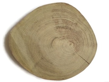 Plaster drewna krążki akacja 30-35 cm BEZ KORY eko