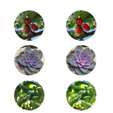 Светодиодный светильник для выращивания растений 18 светодиодных ламп для выращивания растений