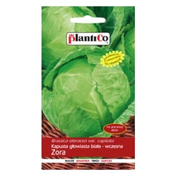 KAPUSTA ZORA 2 g WCZESNA 'PLANTICO
