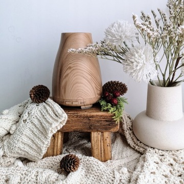 Nawilżacz powietrza HomeAir Board