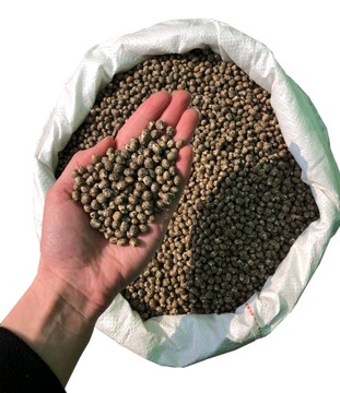 Łubin wąskolistny gorzki 1kg
