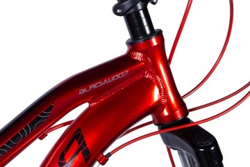 Велосипед со свободным ходом Formula BLACKWOOD DD, рама Shimano 13 дюймов.