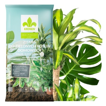 ПОЧВА ДЛЯ ДОМАШНИХ ЗЕЛЕННЫХ РАСТЕНИЙ: ПАЛЬМА, МОНСТРИЯ