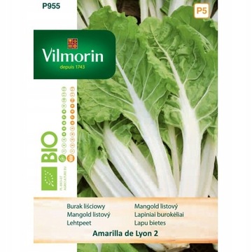 NASIONA BIO BURAK LIŚCIOWY AMARILLA 10G VILMORIN