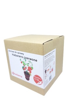 Prezent na Nowy Rok papryka Habanero Red