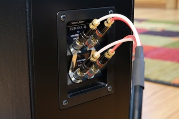 КЕМБРИДЖ CXA 81 + SONUS FABER LUMINA III = ПОЭЗИЯ