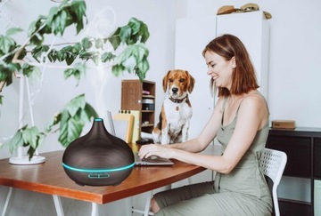 Ультразвуковой увлажнитель-диффузор ONION тёмный для ароматерапии