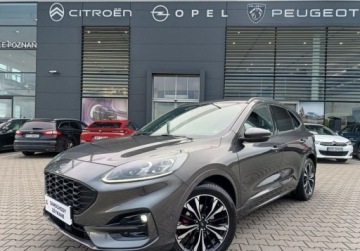 Ford Kuga III SUV 2.0 EcoBlue 190KM 2022 Ford Kuga 2.0 EcoBlue 190KM AWD A8 ST-Line X Salon PL Serwis ASO Kamera Na, zdjęcie 1